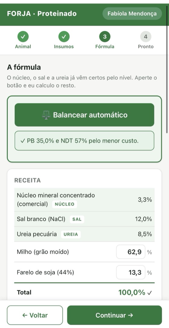 Tela da Calculadora Fórmula do Boi no passo 3, com a receita balanceada